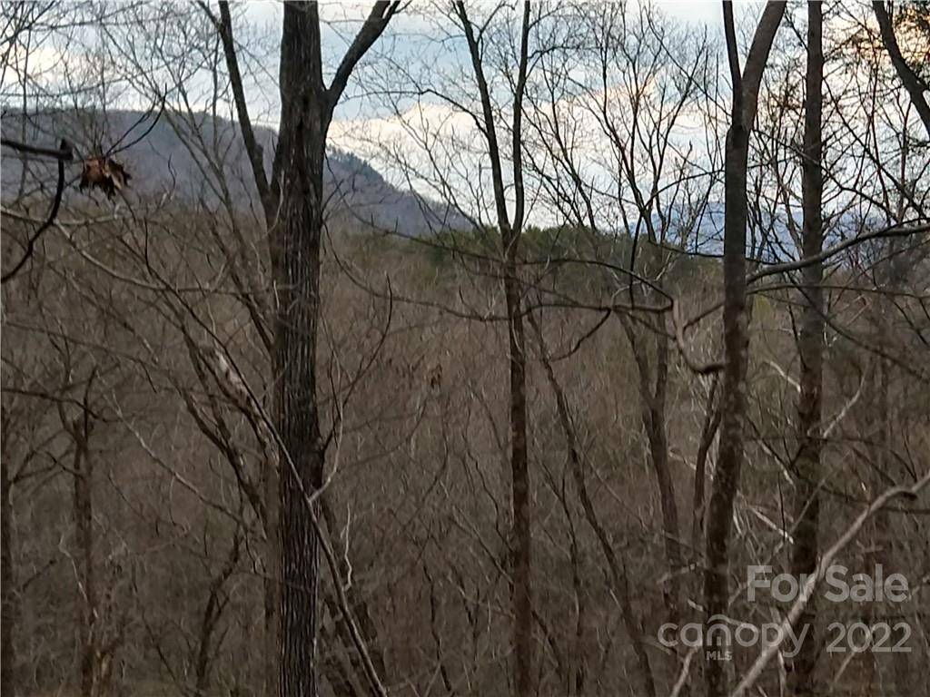 Lots 94 & 95 Rock Spring RD, Lake Lure, NC 28746