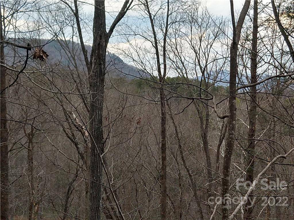 Lots 94 & 95 Rock Spring RD, Lake Lure, NC 28746