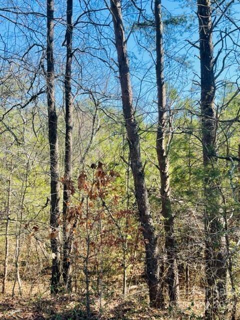 0 Ridge DR, Connelly Springs, NC 28612