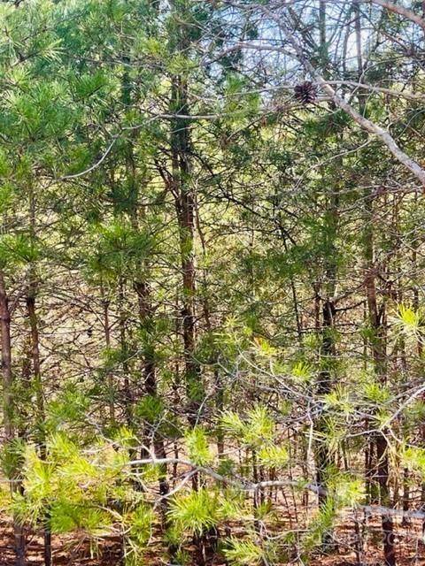 0 Ridge DR, Connelly Springs, NC 28612