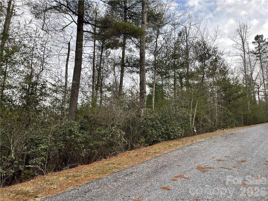 55 Boone Cove RD #71, Zirconia, NC 28790