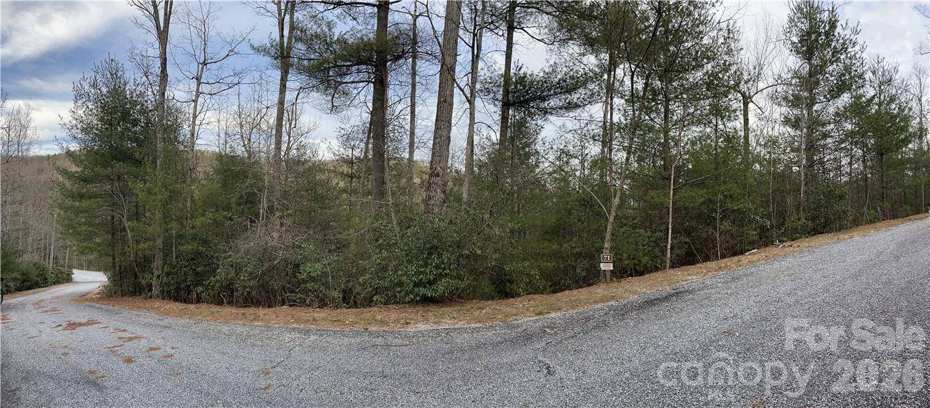 55 Boone Cove RD #71, Zirconia, NC 28790