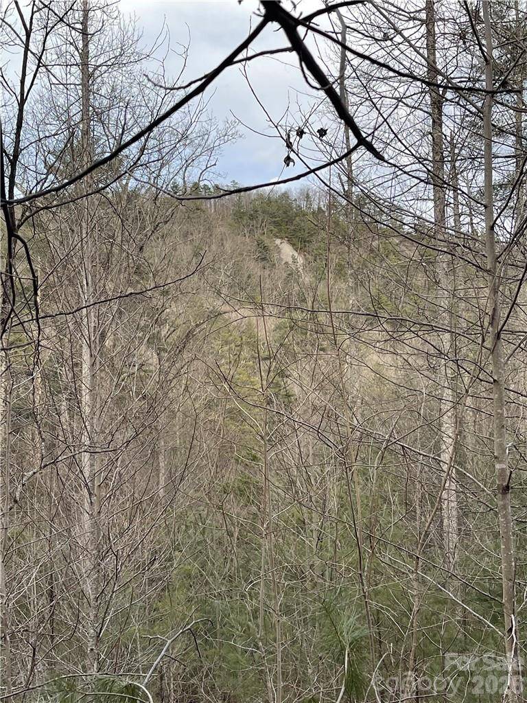 55 Boone Cove RD #71, Zirconia, NC 28790