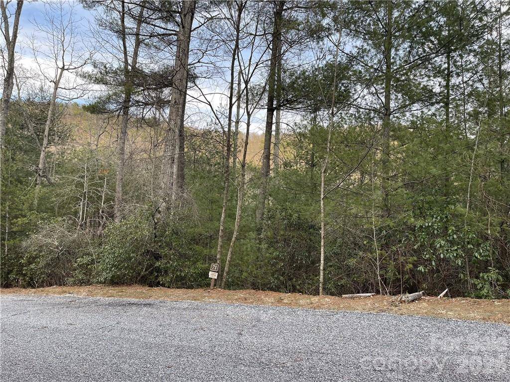 55 Boone Cove RD #71, Zirconia, NC 28790