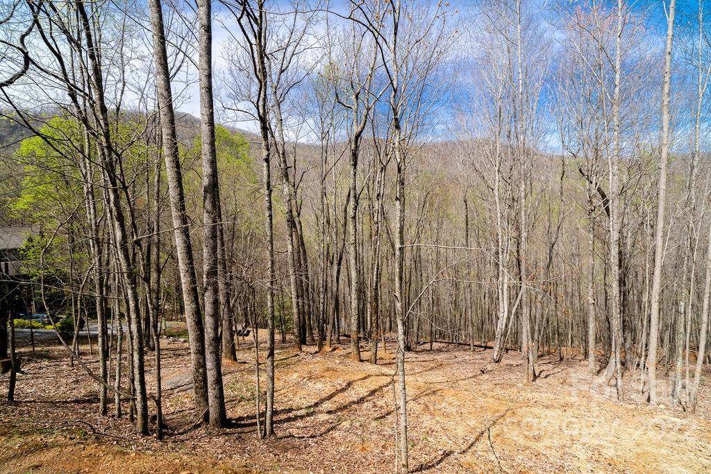 808 Stoney Stream LN, Arden, NC 28704