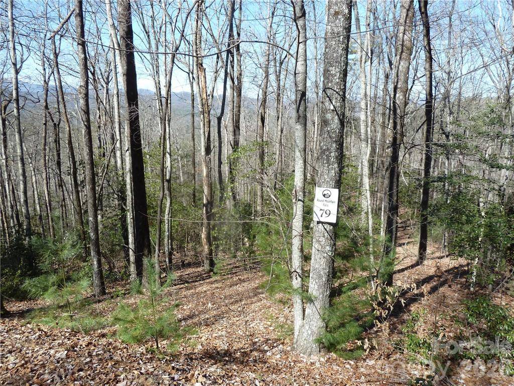 79 Peppervine CIR #L79, Rosman, NC 28772