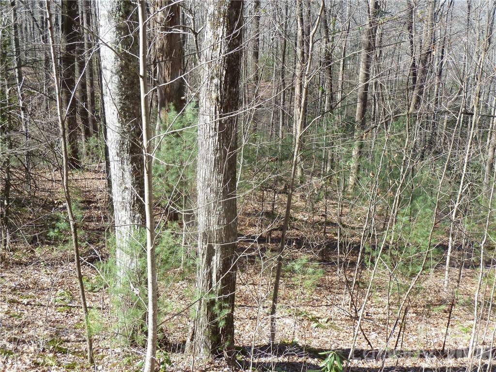 79 Peppervine CIR #L79, Rosman, NC 28772