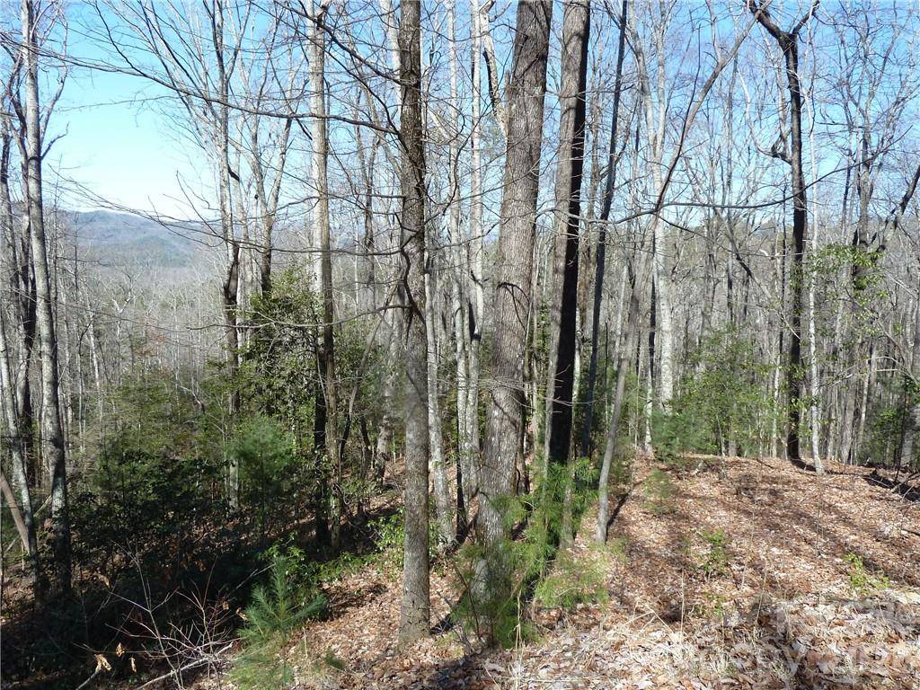 79 Peppervine CIR #L79, Rosman, NC 28772