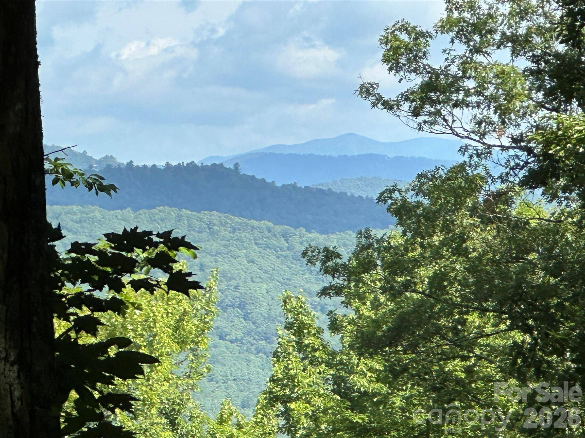 79 Peppervine CIR #L79, Rosman, NC 28772