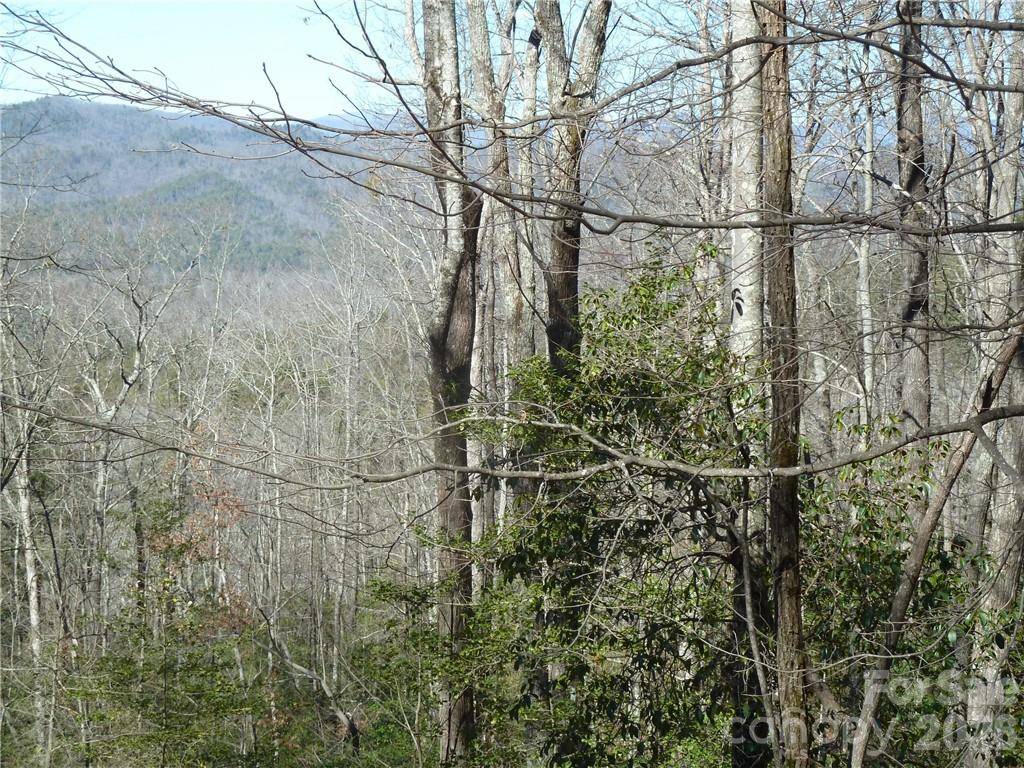 79 Peppervine CIR #L79, Rosman, NC 28772