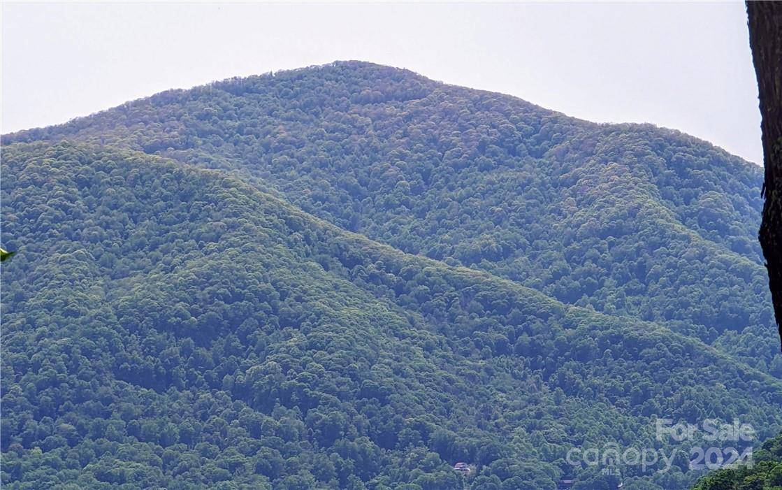 11 Trout Lily LN #11, Maggie Valley, NC 28751