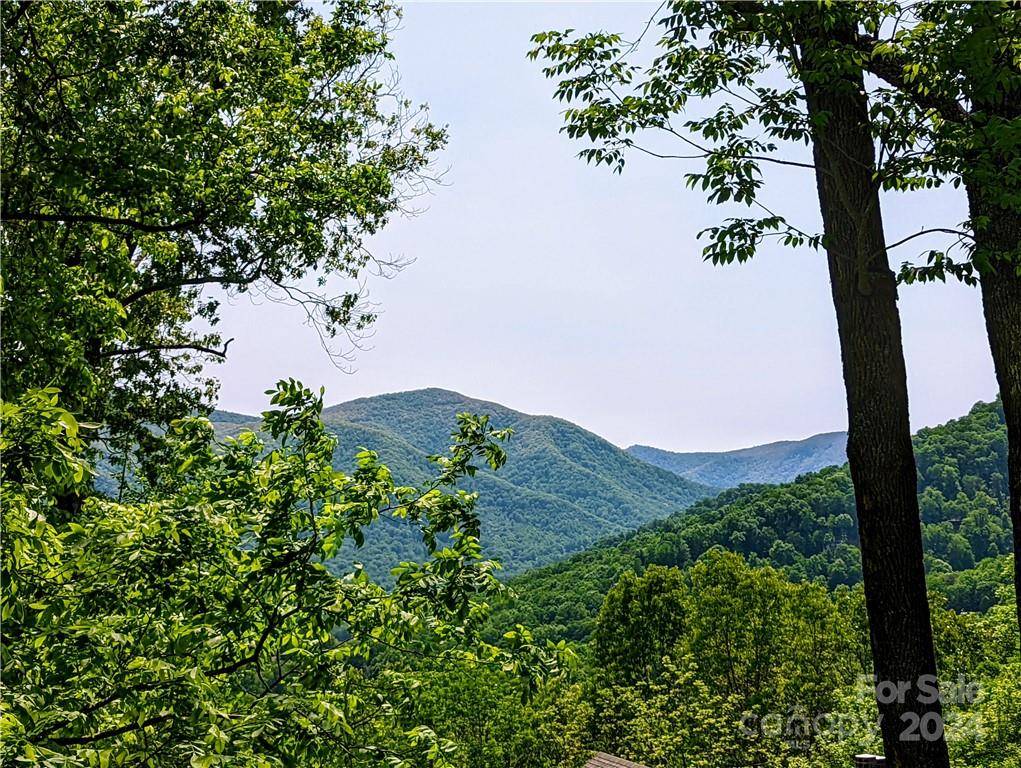11 Trout Lily LN #11, Maggie Valley, NC 28751