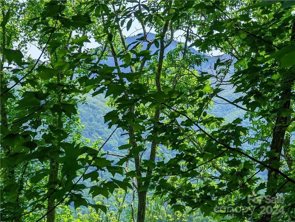 11 Trout Lily LN #11, Maggie Valley, NC 28751