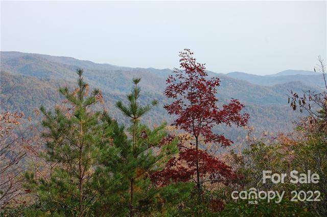 Lot 361 Hickory Nut LN, Lake Lure, NC 28746