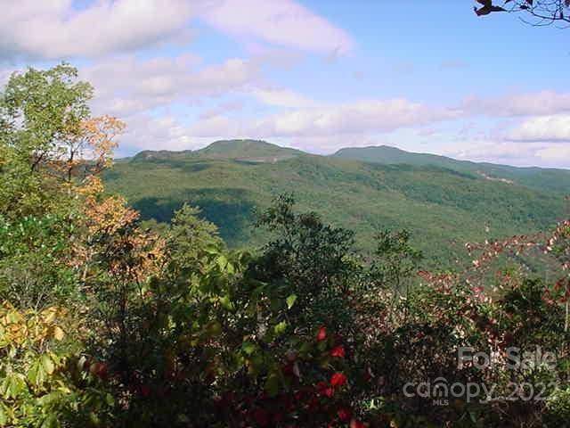 Lot 361 Hickory Nut LN, Lake Lure, NC 28746