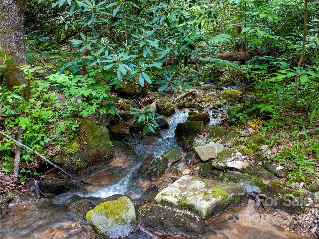 LOT 2072 Anthony CT, Mill Spring, NC 28756
