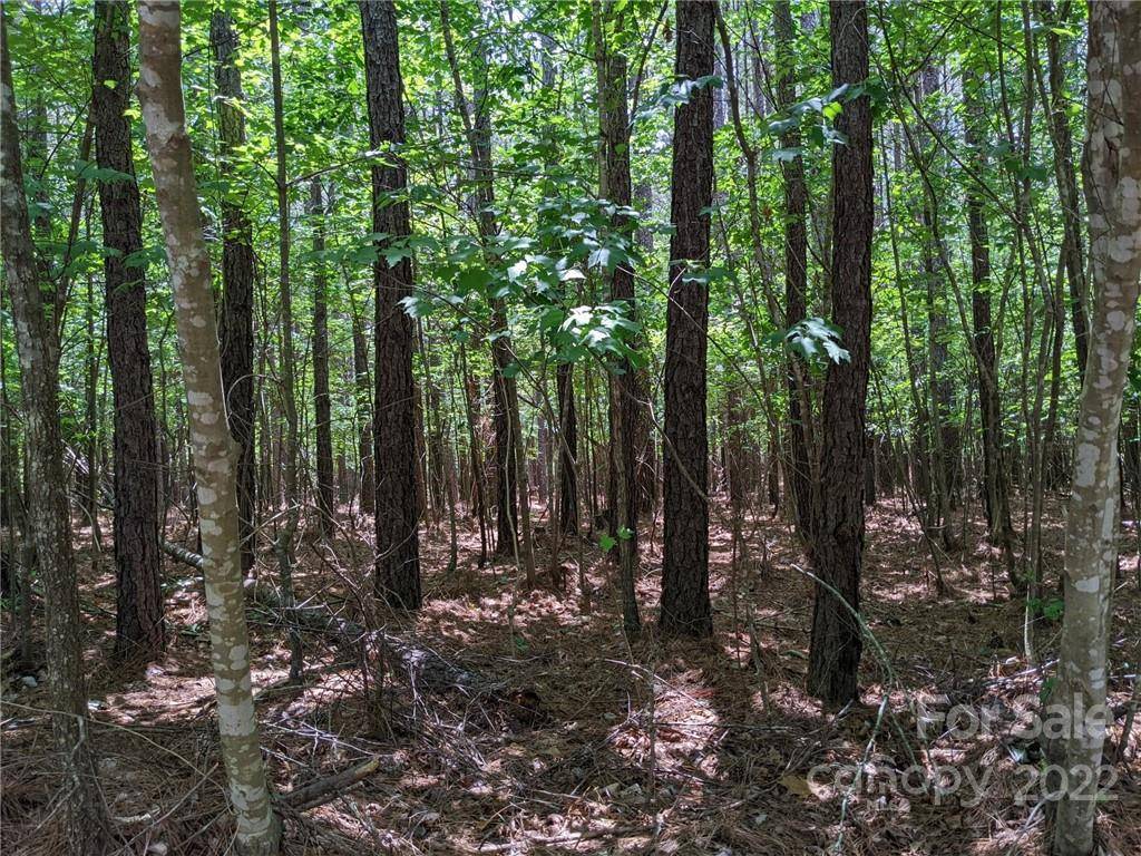 129 Plantation WAY #78, Mount Gilead, NC 27306