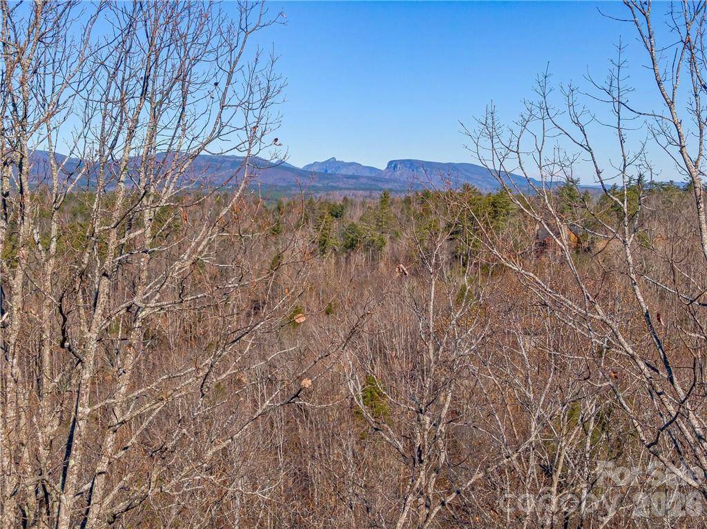138 & 139 High Trail DR, Nebo, NC 28761