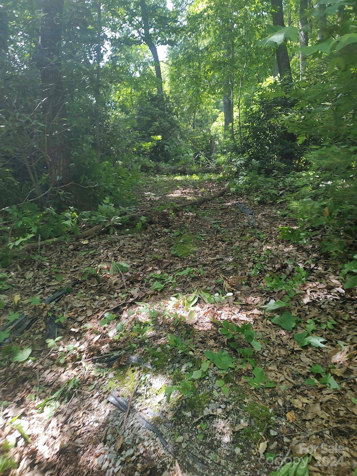 314 Burnside TRL #44, Hendersonville, NC 28792