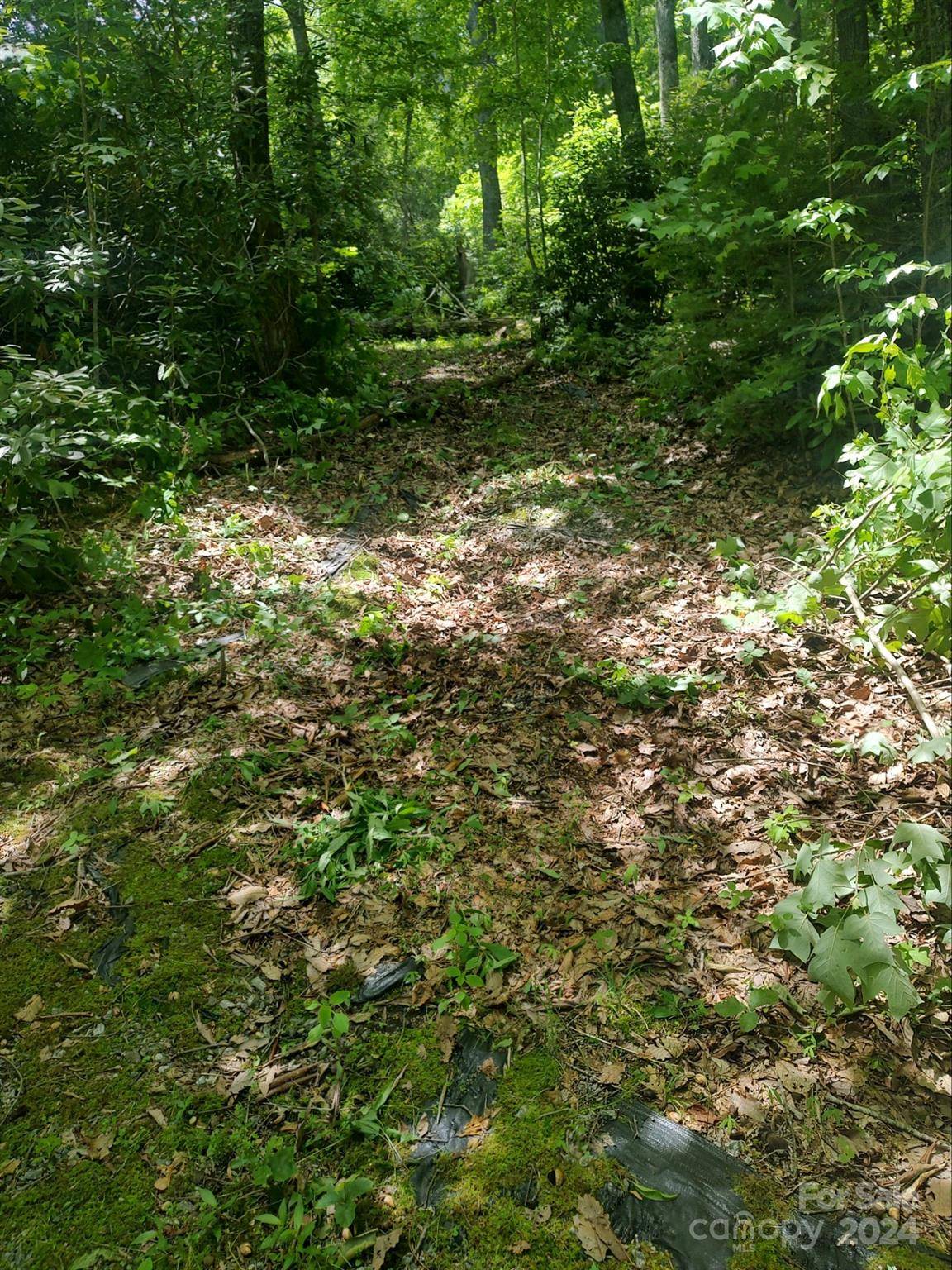 314 Burnside TRL #44, Hendersonville, NC 28792