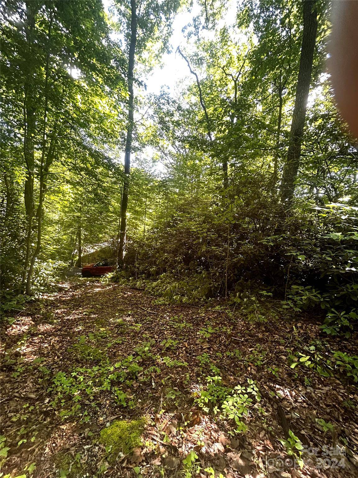 314 Burnside TRL #44, Hendersonville, NC 28792