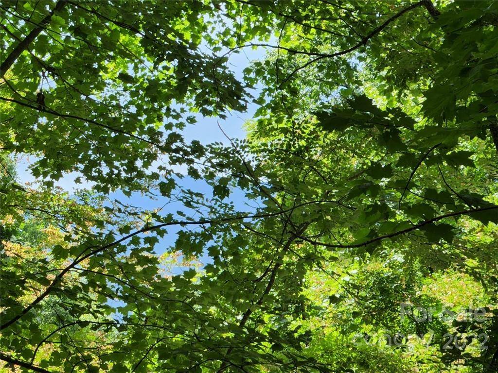 00 Heavenview PT #120, Maggie Valley, NC 28751