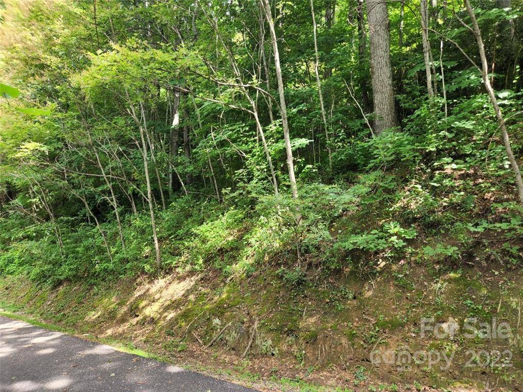 00 Heavenview PT #120, Maggie Valley, NC 28751