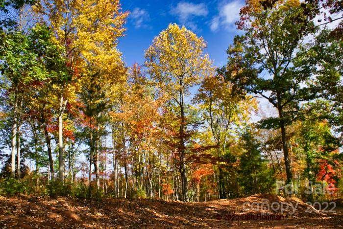 0 Hearthstone DR #73, Union Mills, NC 28167