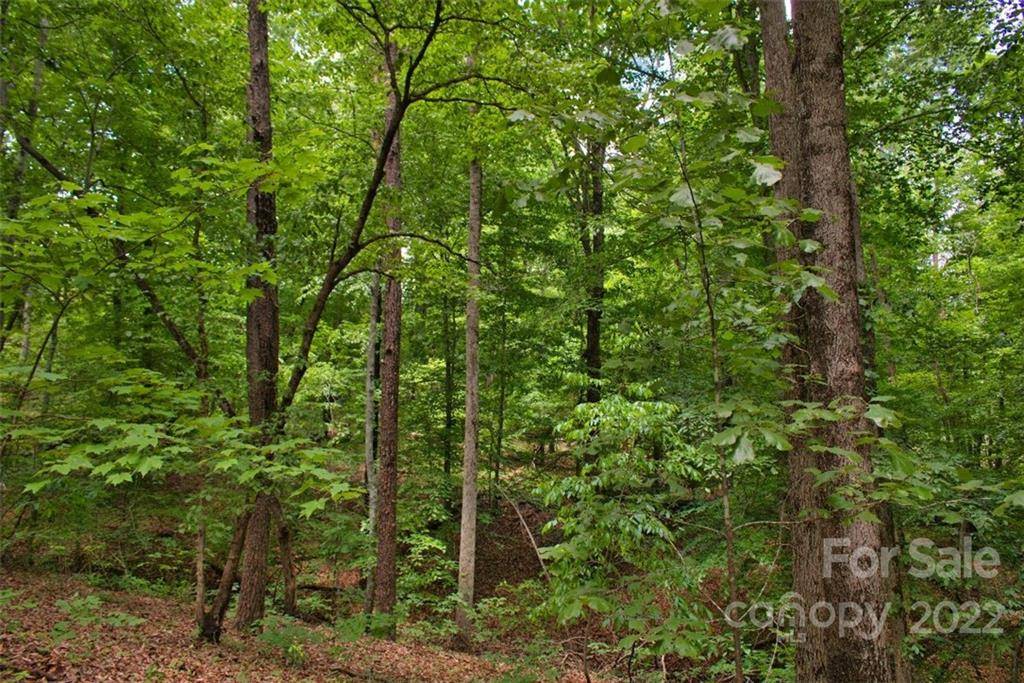0 Midnight PASS #337, Rutherfordton, NC 28139