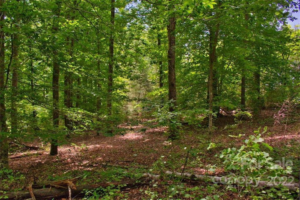 0 Midnight PASS #337, Rutherfordton, NC 28139