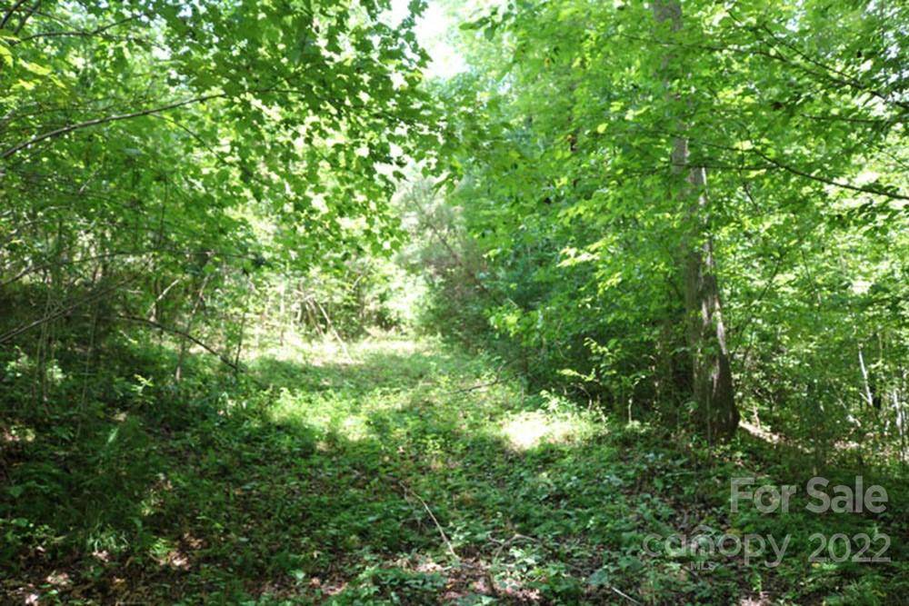 0 Woodstock LN #166, Rutherfordton, NC 28139