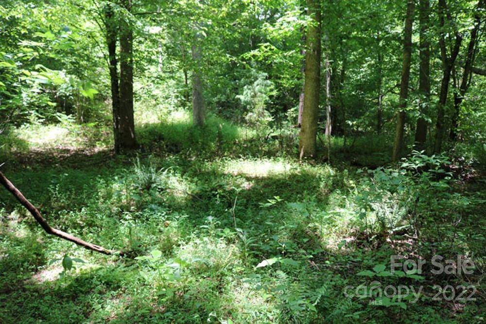 0 Woodstock LN #166, Rutherfordton, NC 28139
