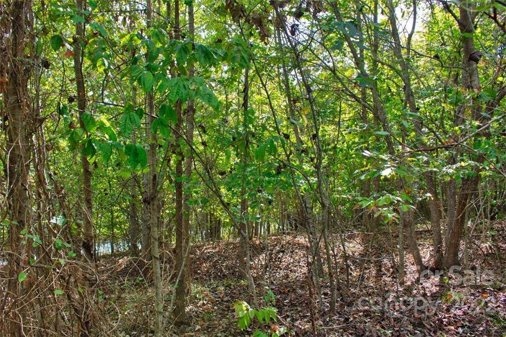 0 Chimney Creek LN #194, Rutherfordton, NC 28139