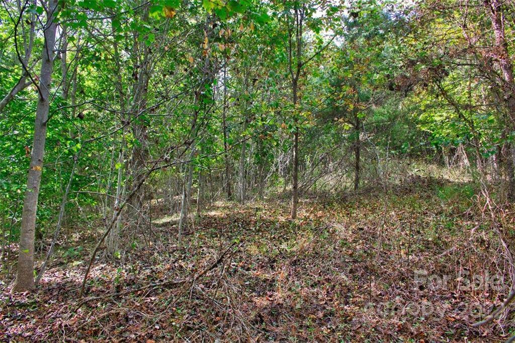 0 Chimney Creek LN #194, Rutherfordton, NC 28139