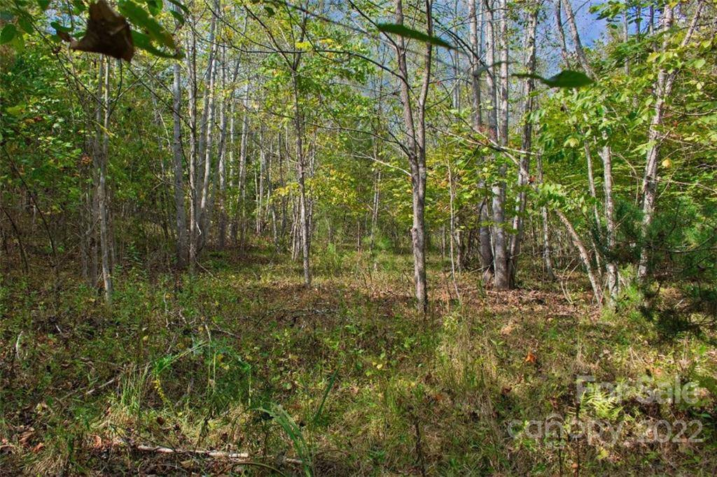 0 Chimney Creek LN #194, Rutherfordton, NC 28139