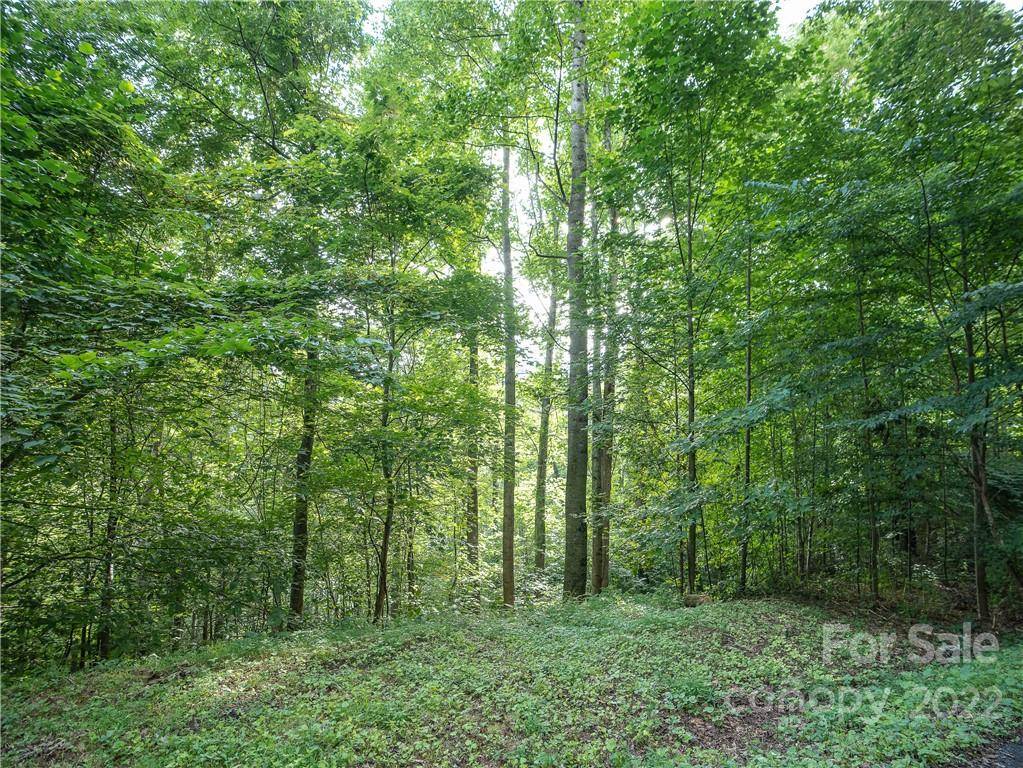 00 Ironwood LN #12, Maggie Valley, NC 28751