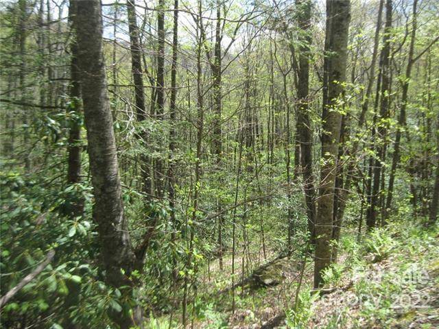 23 Wood Haven LN #113, Black Mountain, NC 28711
