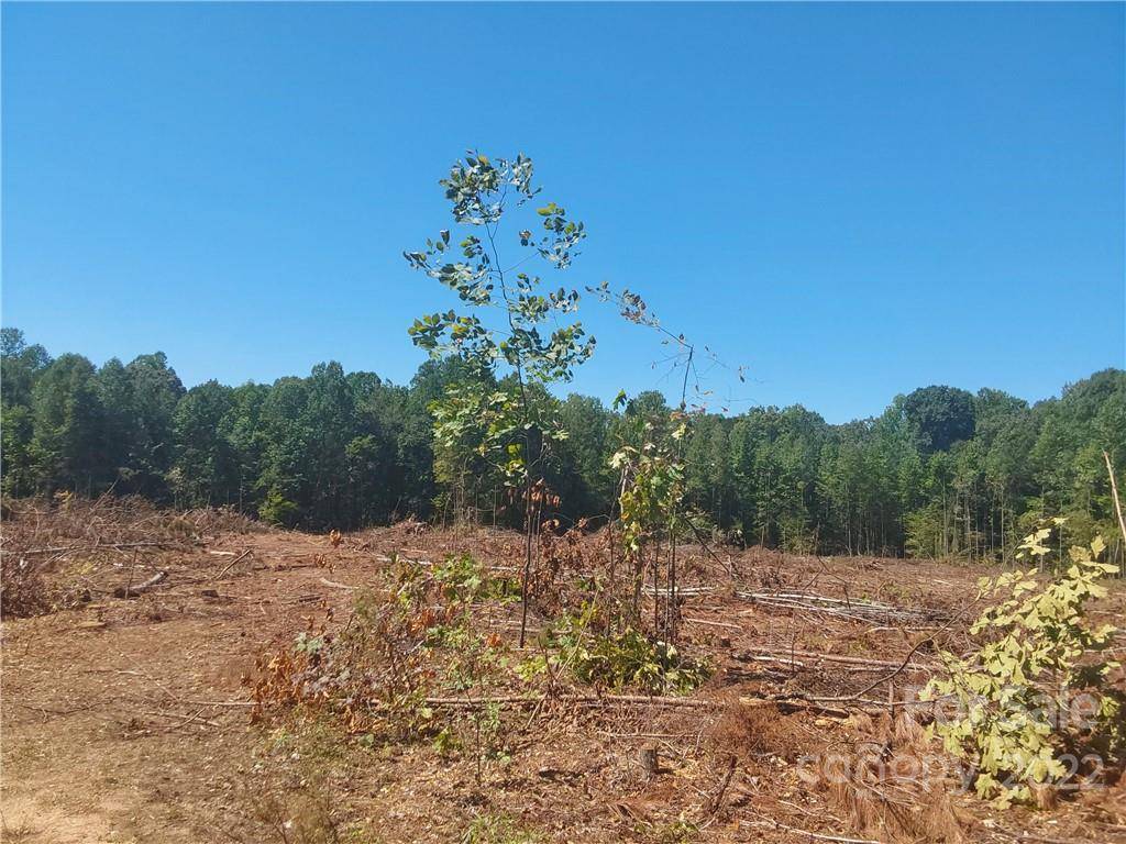 00 Requa RD, Cherryville, NC 28021