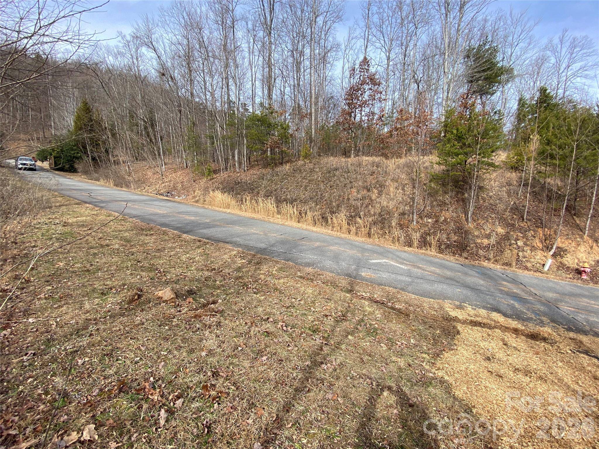 46 Holmstead DR #46, Lake Lure, NC 28746