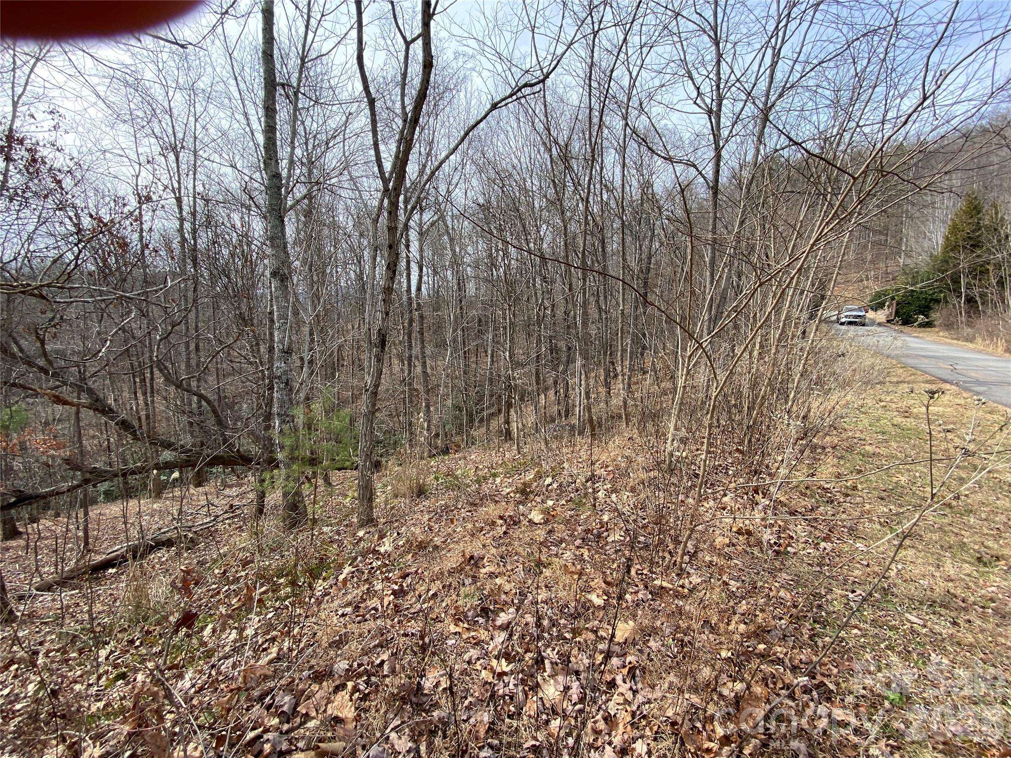 46 Holmstead DR #46, Lake Lure, NC 28746