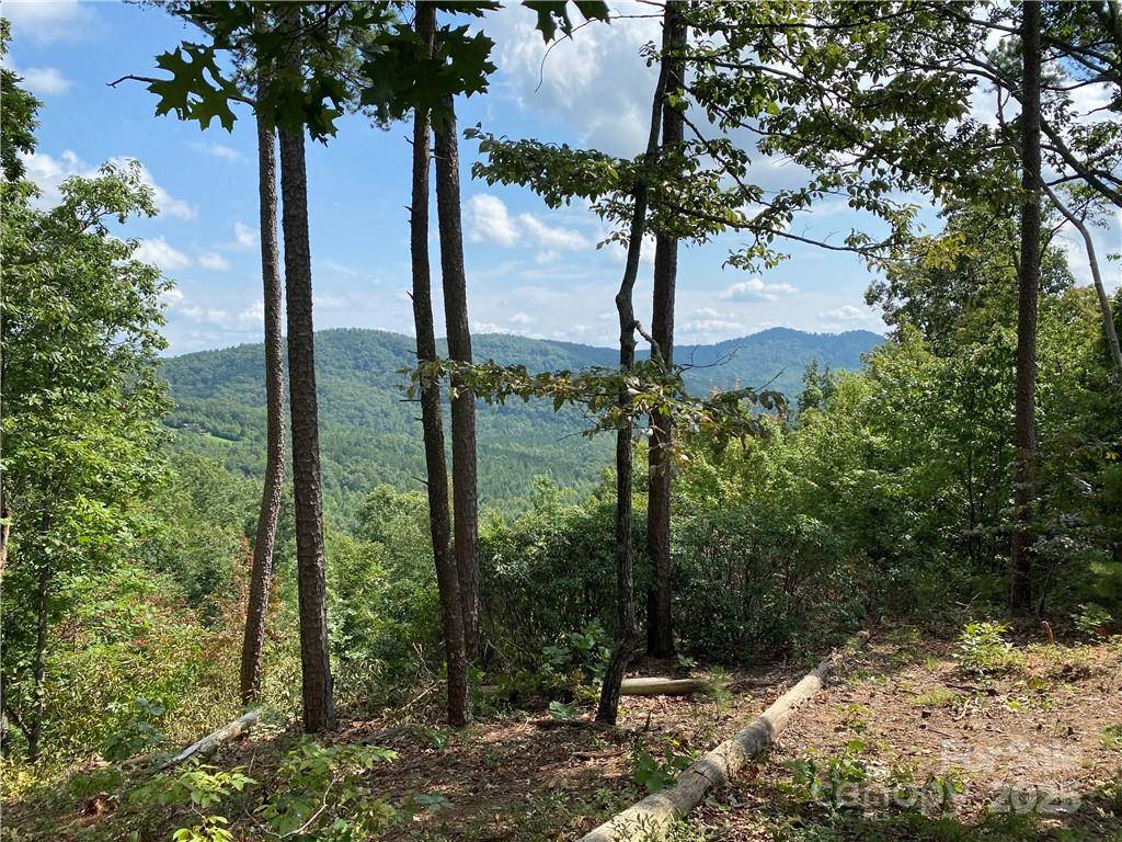 61 Scenic Vista DR #238, Nebo, NC 28761