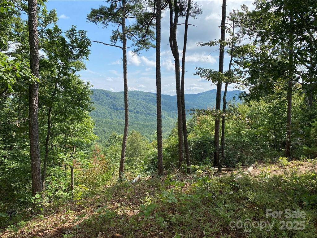 61 Scenic Vista DR #238, Nebo, NC 28761