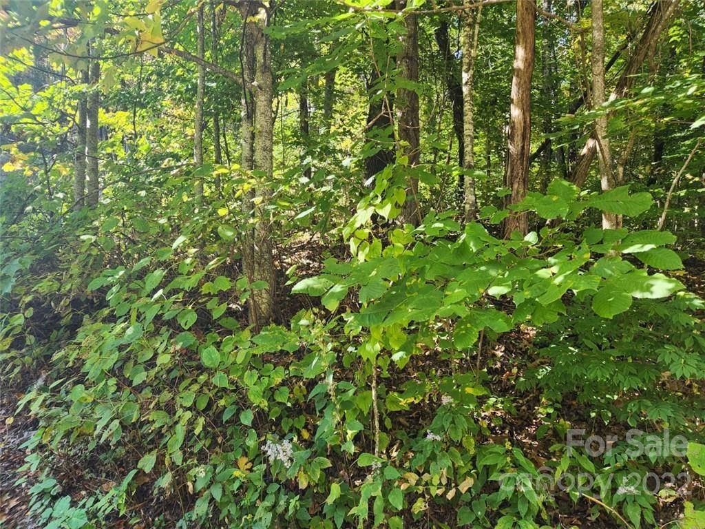 00 Staymon RD #229, Waynesville, NC 28786