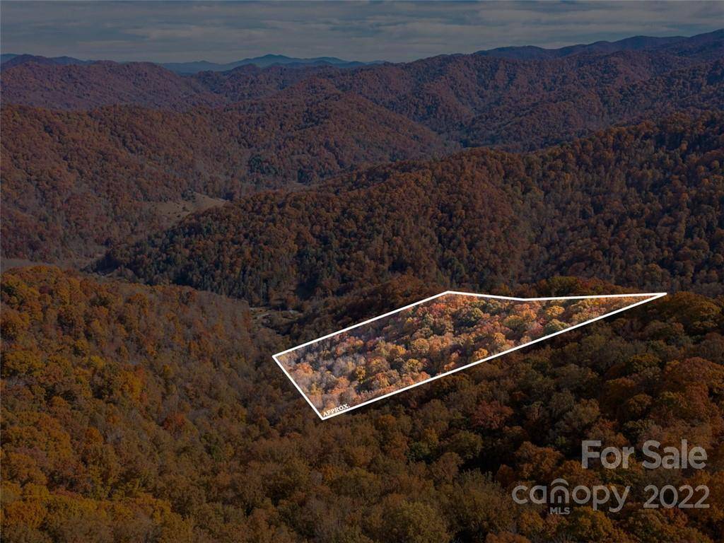 000 Drake Cove RD, Mars Hill, NC 28754