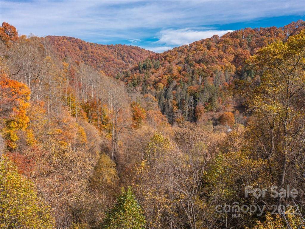000 Drake Cove RD, Mars Hill, NC 28754