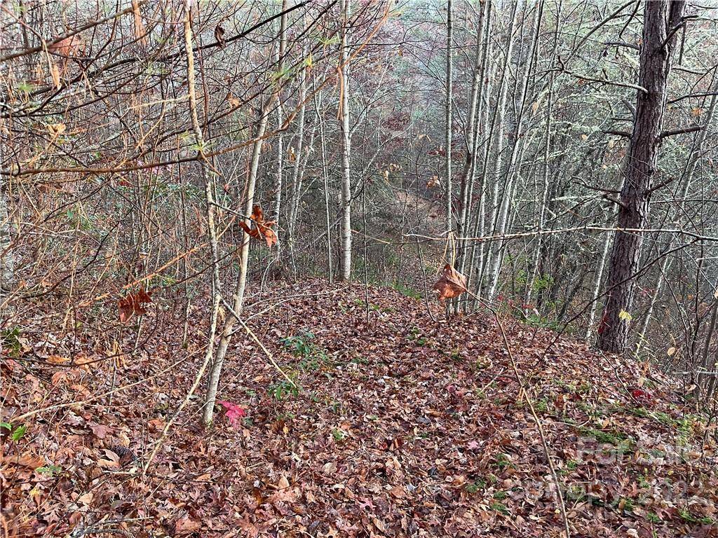 Lot 43 Kimiko LN, Balsam Grove, NC 28708