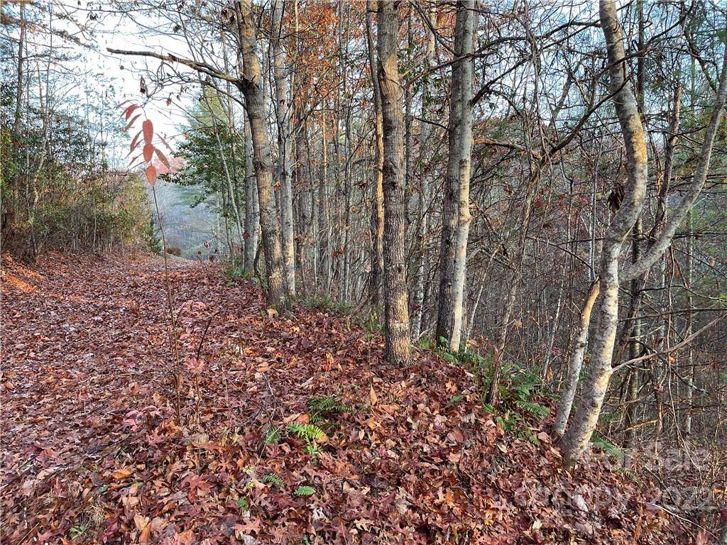 Lot 43 Kimiko LN, Balsam Grove, NC 28708