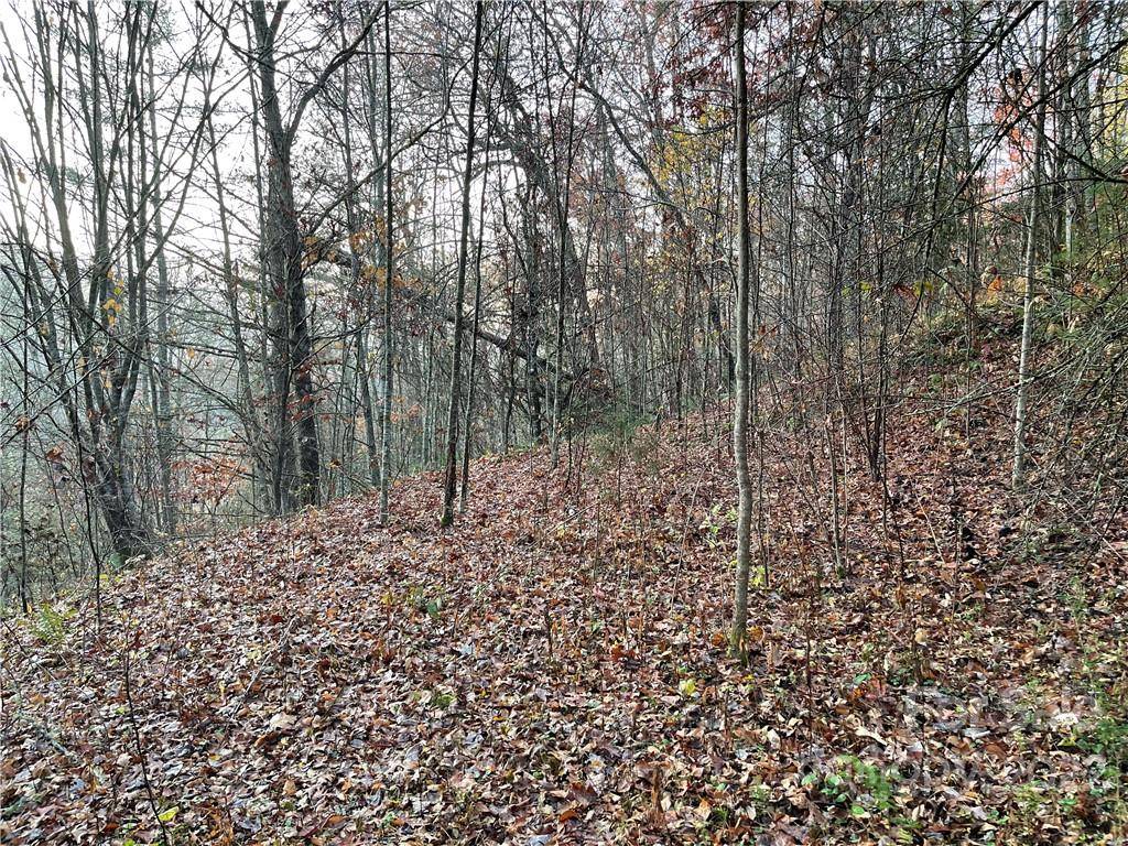Lot 43 Kimiko LN, Balsam Grove, NC 28708