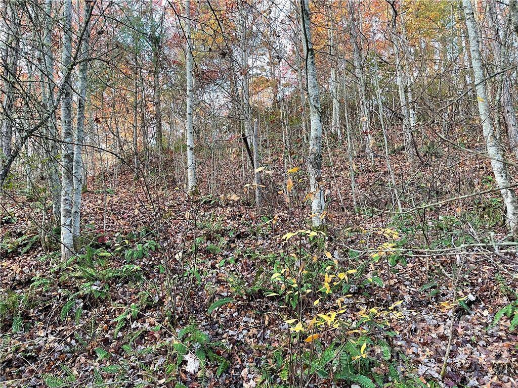 Lot 43 Kimiko LN, Balsam Grove, NC 28708