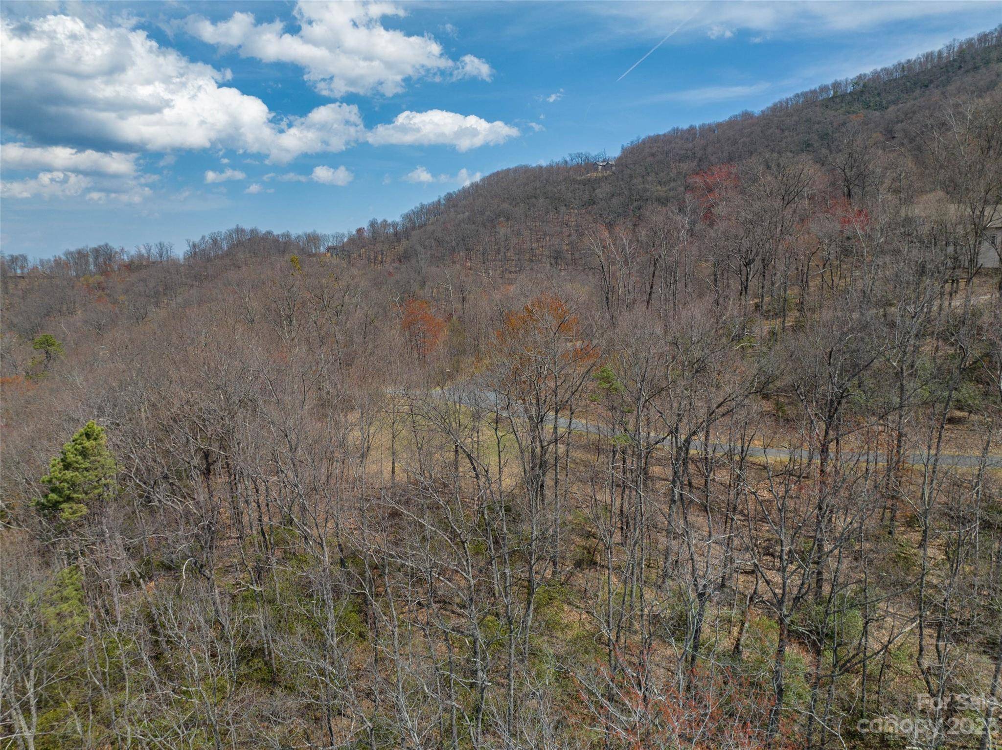 187 Arcadia Falls WAY #77, Black Mountain, NC 28711